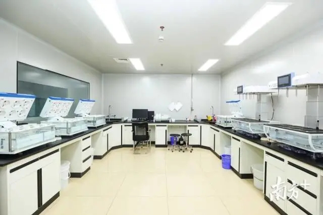 1621250357364393.jpg 640.webp.jpg