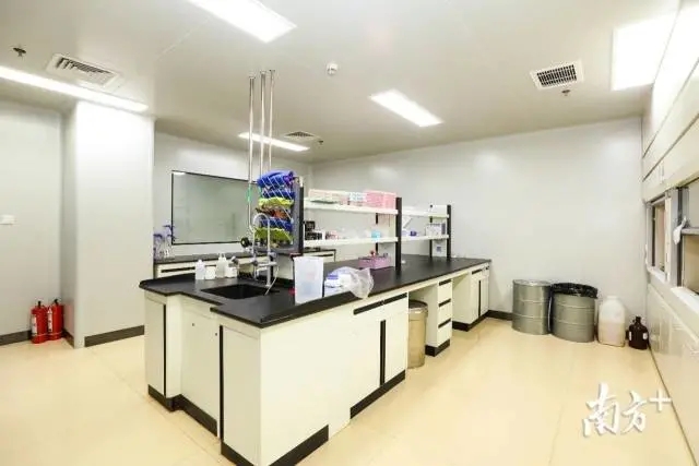 1621250376525418.jpg 640.webp (1).jpg