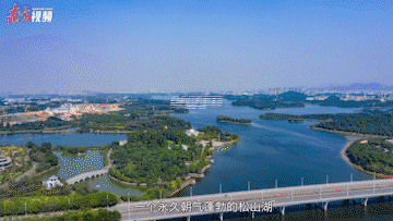 1638363325896954.gif 6.gif