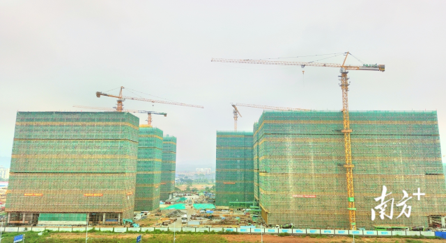 1714495346138725.png 333.png